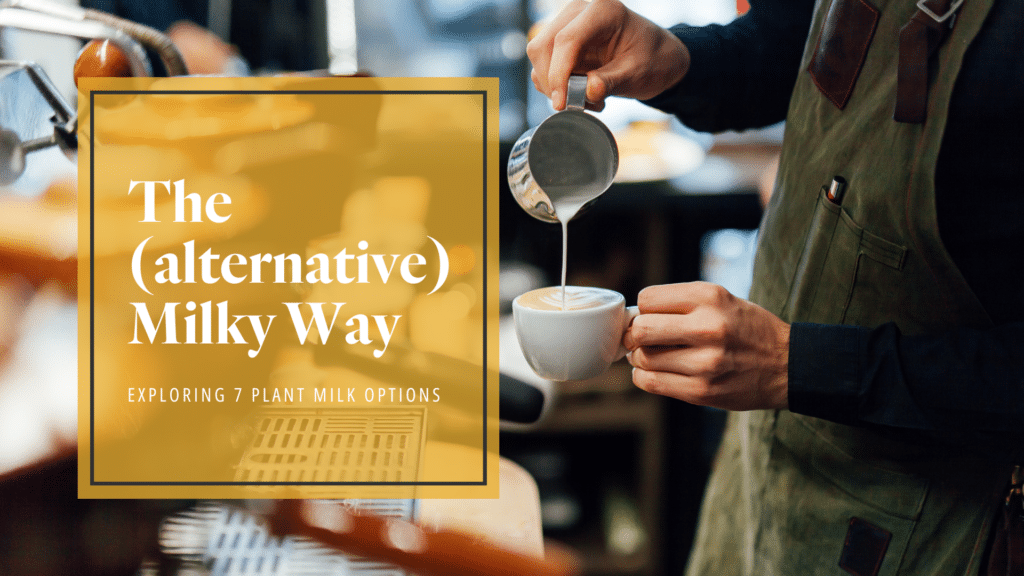 The (alternative) Milky Way: Exploring 7 Plant Milk Options
