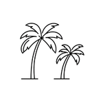 BG Removed Miami